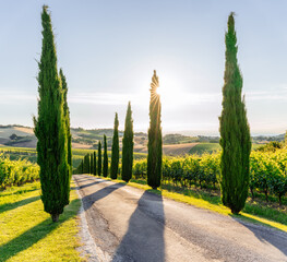 Marche Region, Italy. Rural landscape