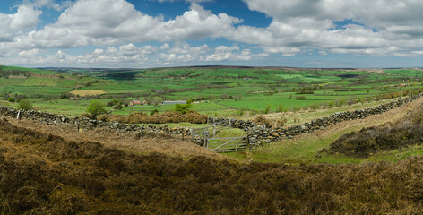 Fototapeta na wymiar North York Moors national park with heather, fields, dry stone wall, in summer. Glaisdale, UK.