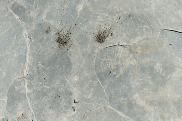 stone with dirt splatter
