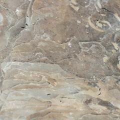 stone texture