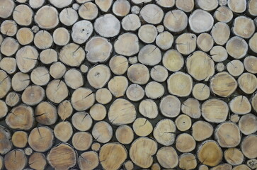 half cut of the tree wooden background