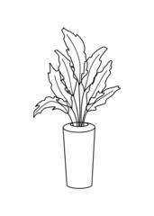 Vector flowerpot icon. Home Indoor Plants. Houseplants in Pots. Doodle illustration, clipart. Tropical plant outline icon