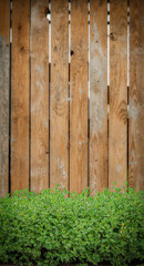 A beautiful brown wooden fence against the background of growing green bushes.
Textured wooden fence close up.
