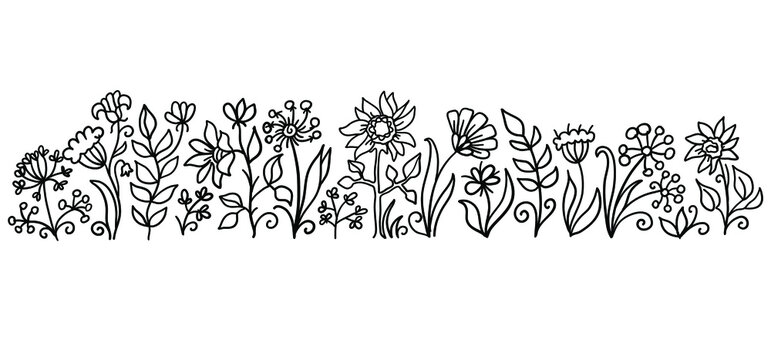 Field Flowers Vector Handrawn Illustration Isolated On White. Nature Floral Scetch