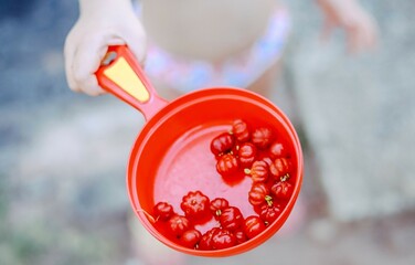 hand holding red jar