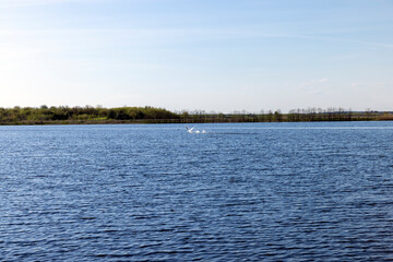 glare from sunlight on the surface of the lake water