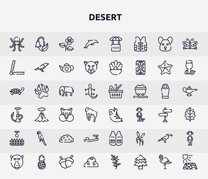 desert outline icons set. thin line icons such as octopus, dolphin, trap, elephants, sloth, parrot, sandals, toucan, anthill icon.
