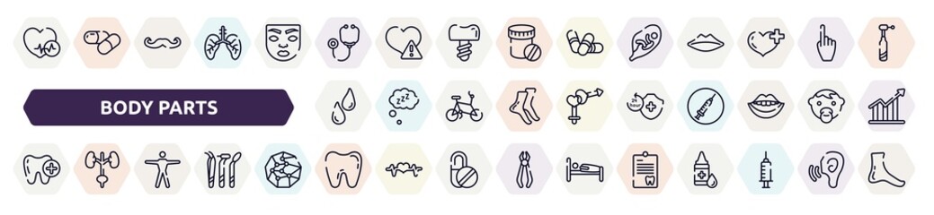 body parts outline icons set. thin line icons such as heart black shape, stethoscope, fetus in an uterus, sweat or tear drop, 24 hours medical assistance, tooth with a plus, human body standing,