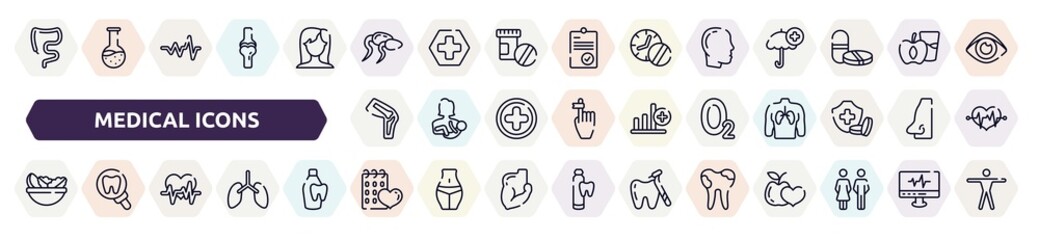 medical icons outline icons set. thin line icons such as large intestine, sperms, male with bald hair side view, kneecap, oxygen, vegetarian diet, heart frequency, null, dental caries icon.