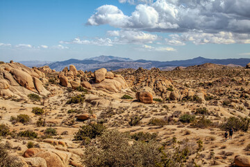 Rocky Landscape in Joshua Tree