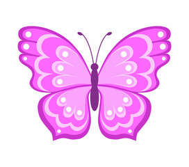 Butterfly. Color vector illustration in flat style. Isolated on white background