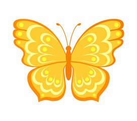 Butterfly. Color vector illustration in flat style. Isolated on white background