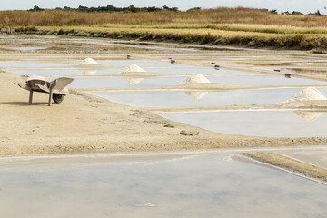 Récolte du sel, les mulons alignés au centre des oeillets et la brouette pour sortir le sel. Marais salants de Noirmoutier