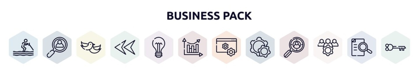 business pack outline icons set. thin line icons such as water ski, hiring, love bird, left arrow head, lightbulb with bolt, analytic chart, web management, configuration, team management