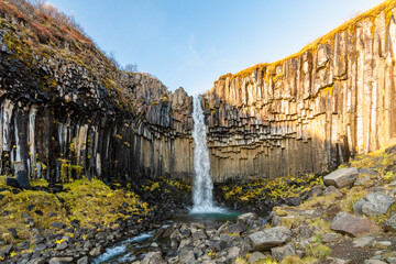 der berühmte Wasserfall Svartifoss auf Island, in der nähe des Skaftafell  Gletscher