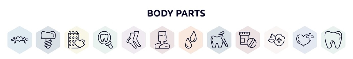 body parts outline icons set. thin line icons such as pulse line, dentist tooth with metallic root, null, tooth zoom, tiptoe feet, medical doctor specialist, sweat or tear drop, tooth with a dentist