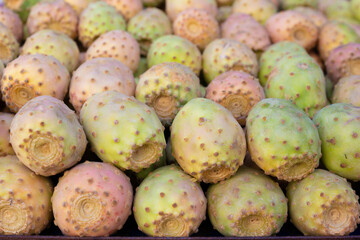 Background from pink prickly pear fruits. Sale of edible prickly pear cactus fruit in the market