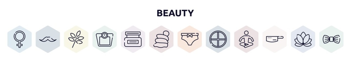 beauty outline icons set. thin line icons such as femenine, moustaches, herbs, weighing scale, hair cream, snail slime, underclothing, tray, kitchen pack icon.