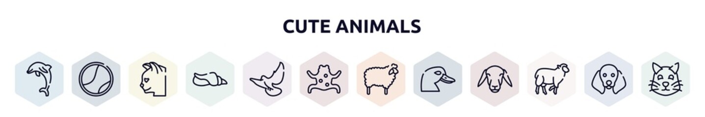 cute animals outline icons set. thin line icons such as jumping dolphin, tennis ball, cat head, seashell conch, flying dove, tropical frop, sheep with wool, duck head, black sheep icon.