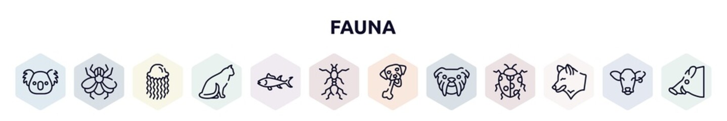 fauna outline icons set. thin line icons such as koala head, big fly, swimming jellyfish, sitting cat, big tuna, red ant, chewing bone for dog, bulldog head, wolf head icon.