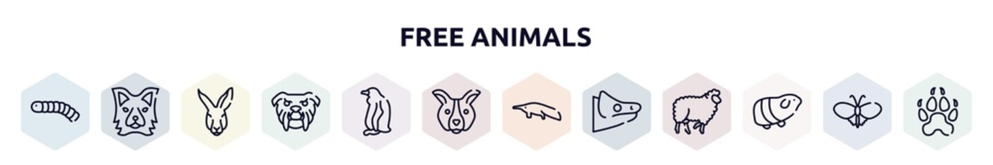 free animals outline icons set. thin line icons such as silkworm, border collie head, kangaroo head, angry bulldog face, sitting penguin, dog face, sitting anteater, chameleon head, guinea pig heag,