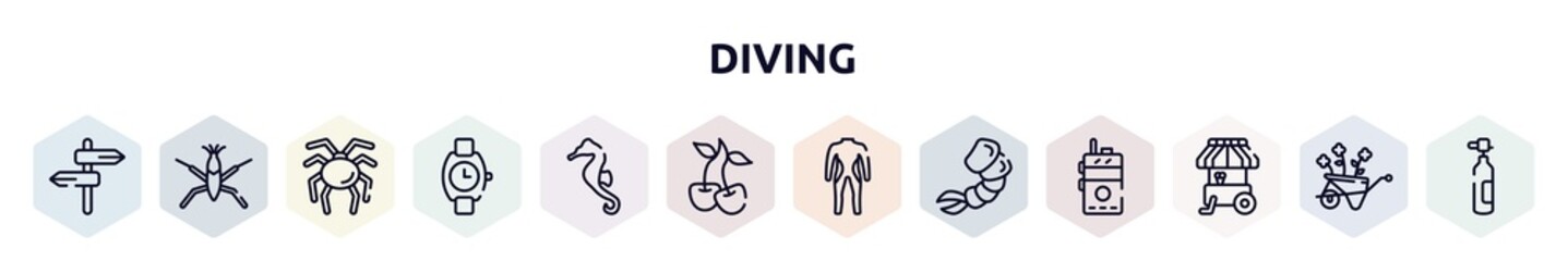 diving outline icons set. thin line icons such as road, pond skater, null, wristwatch, seahorse, cherry, diving suit, shrimp, ice cream cart icon.