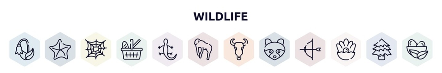 wildlife outline icons set. thin line icons such as harebell, starfish, cobweb, picnic basket, lizard, chimpanzee, bull skull, racoon, pearl icon.