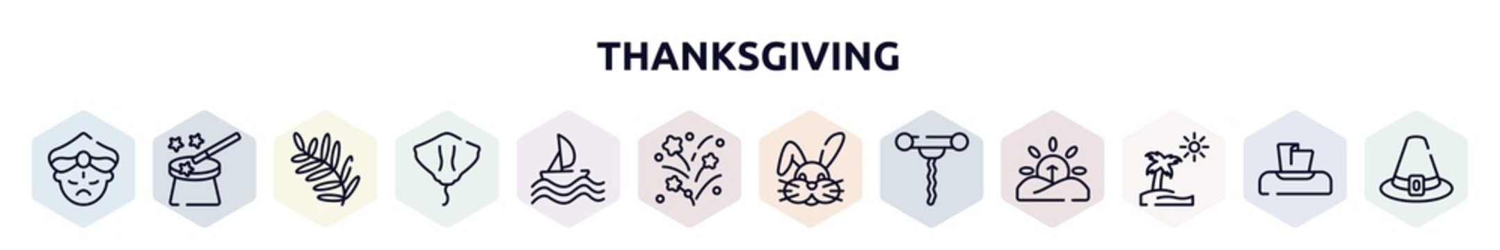 thanksgiving outline icons set. thin line icons such as maharaja, magic wand, fern, stingray, sailing, firework, bunny, corkscrew, pictures icon.