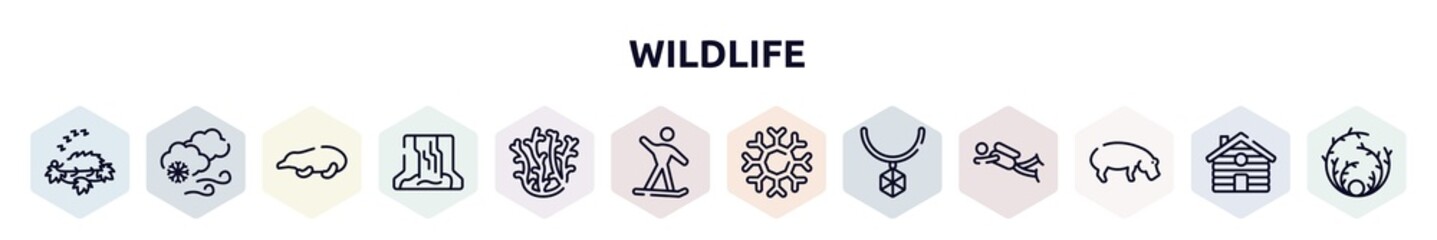 wildlife outline icons set. thin line icons such as hibernation, blizzard, mole, waterfall, coral, snowboard, snowflakes, pendant, hippo icon.
