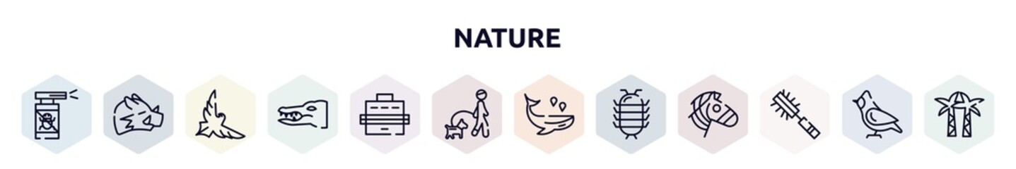 nature outline icons set. thin line icons such as anti flea, boar, eagle, crocodile, pet carrier, walking the dog, whale, cochineal, pet brush icon.