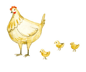 Kvachka with chicks. Watercolor illustration depicting a secular animal.