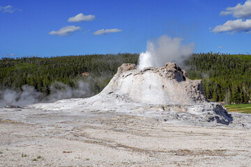 Small geyser erupting in the Old Faithful geyser area in the Yellowstone National Park, Wyoming, USA. Geothermal activity in volcanic landscape.