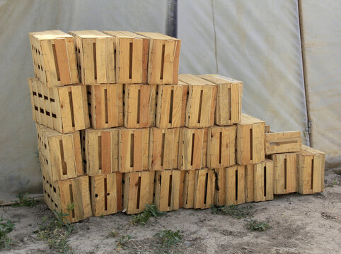 cagettes de ramassage de fruits et l&eacute;gumes