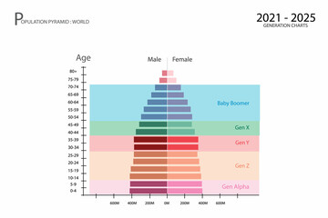 Population and Demography, Population Pyramids Chart or Age Structure Graph with Baby Boomers Generation, Gen X, Gen Y, Gen Z and Gen Alpha in 2021 to 2025.
 - obrazy, fototapety, plakaty