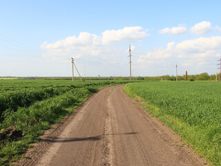 Dirt road through agricultural fields against the background of electrical lines