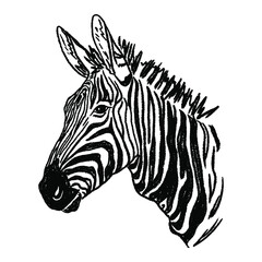 Fototapeta na wymiar A hand-drawn sketch of a zebra.