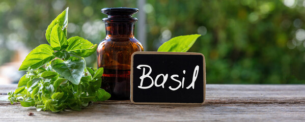 Basil herb essential oil and text label. Aromatic culinary plant, aromatherapy and homeopathy.