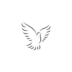 bird silhouette illustration beautiful outline design art 