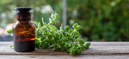 Oregano herb essential oil close up. Aromatic culinary plant, aromatherapy and homeopathy. - obrazy, fototapety, plakaty