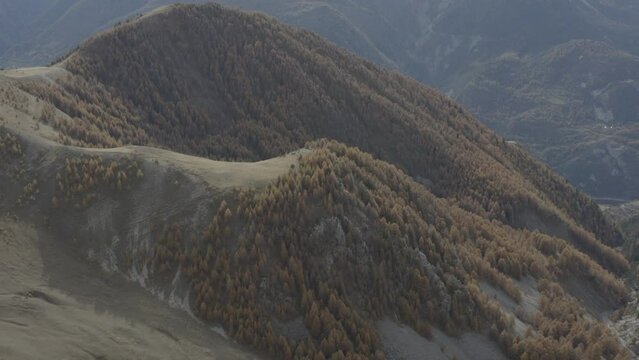 Magnifique colline de sapins aux couleurs d'automnes dans les alpes au mythique lac de Serre Pon&ccedil;on. Tourn&eacute; au DJI Mavic 2 Pro, ISO 100 F 2.8 S1/50 24 ips DLOG 