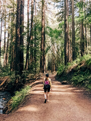 Woman walking on the hiking trail through the redwood trees