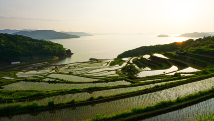 長崎県松浦市の土谷棚田