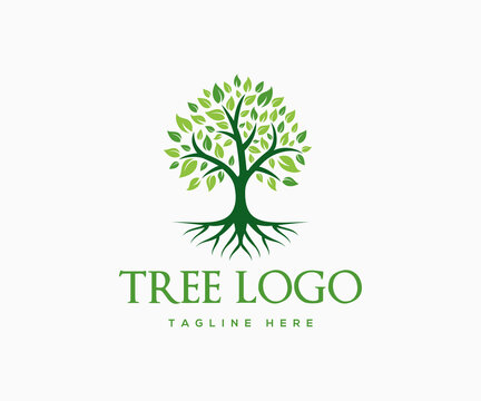 Creative Tree Logo Design Vector Illustration.