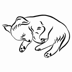 Small dog sleeping.  Cute Labrador puppy lying. Hand drawn doodle vector illustration. Linear drawing. Small dog sleeping.  Cute Labrador puppy lying. Hand drawn doodle vector illustration. 