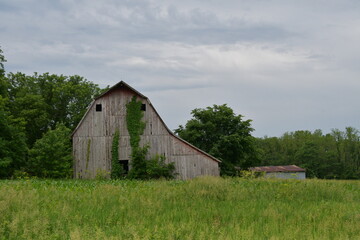 Barn