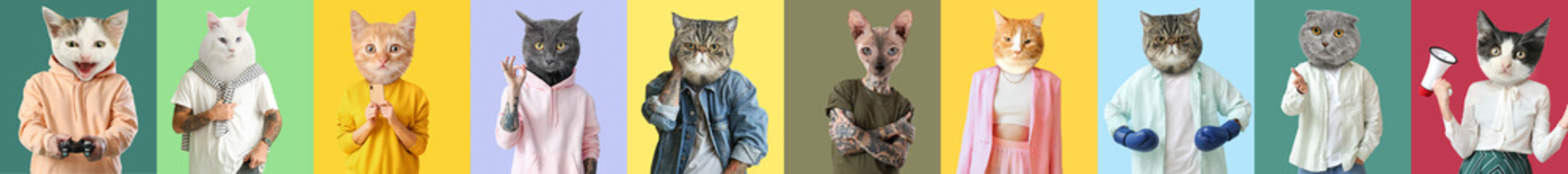Set of cute cats with human bodies on colorful background