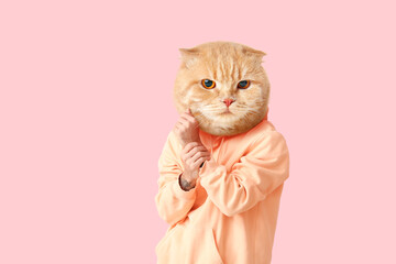 Funny Scottish fold cat with human body on pink background - obrazy, fototapety, plakaty