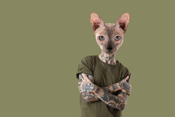 Cool Sphynx cat with tattooed human body on color background - Powered by Adobe