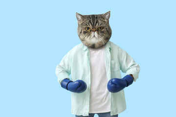 Funny exotic shorthair cat with human body in boxing gloves on light blue background - obrazy, fototapety, plakaty