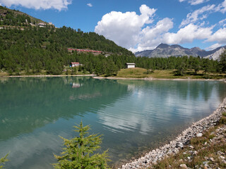 Obraz premium Lake Palu in Switzerland, Alp Grum while the red Bernina train passes
